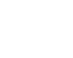 Honegger srl